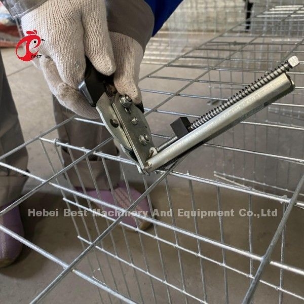 Galvanisée un type de niveau 3 ou de niveau 4 poulet poule couche batterie cage pour 45 000 oiseaux poule poule ferme Doris