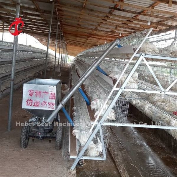 96 120 128 160 Oiseaux 3 niveaux et 4 niveaux système de cage à batterie de couche à vendre à Lagos Nigeria Sandy