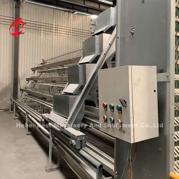 Alimentation entièrement automatique Fermes de volaille Cages de poulet de type A et H Rose