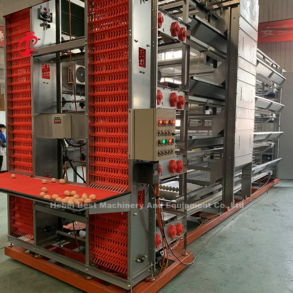 Équipement de cage de poulet automatique de type H pour 25000 oiseaux