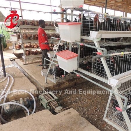 type de grattoir de 220V 380V machine d'enlèvement d'engrais pour l'étoile de Chambre de poulet de volaille