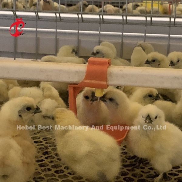 Cage de reproduction de poulets à 380V pratique pour les poulets de la ferme d'Afrique