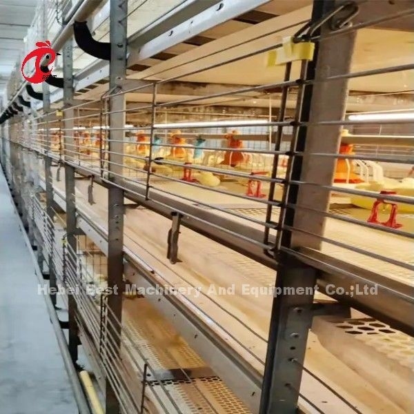 Meilleur système de cage de poulet de type H automatique galvanisé Adela