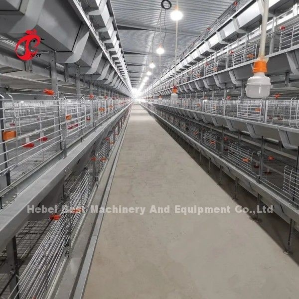 Nettoyage manuel Cage de couvée automatique de poulets de type H
