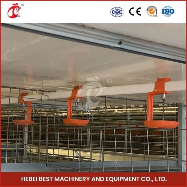 Type automatique Chick Pullet Cage High Capacity d'un jour Adela de la longue de durée de vie cage moderne H de volaille