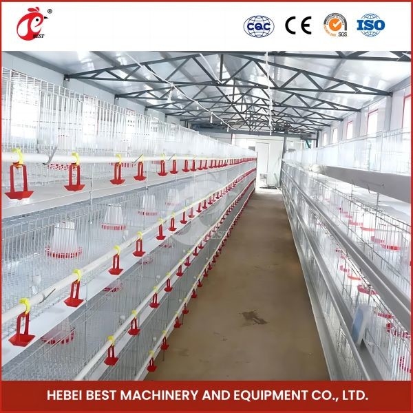 Longueur automatique galvanisée à chaud Mia des oiseaux 1.2m de Chick Brooder Cage 192 de bébé de poulette