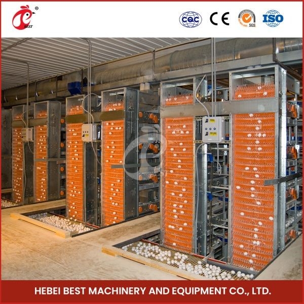 Type couche de H et ADA automatique de conception de Chambre d'équipement de cage de poulet de batterie de grilleur