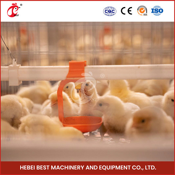 Poussins automatisés Rose de cultivateur de couche de Chick Brooder Cage For Day de batterie de bébé de poulette vieux