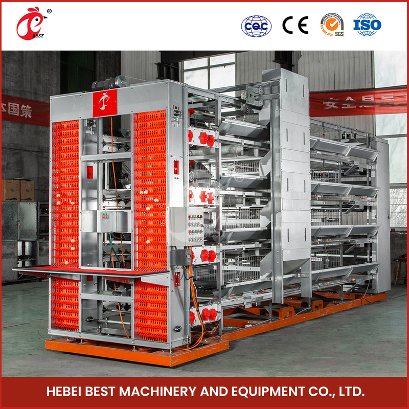 Système de cage de couche de volaille efficace de type H avec alimentateur automatique et boissons de mamelons en plastique