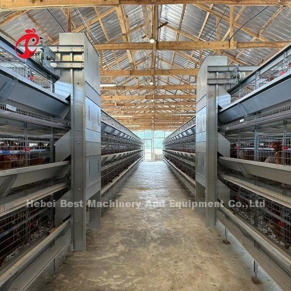 Cage de couche de volaille de 110 kg avec buveuses automatiques pour les poulaillers Doris