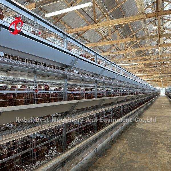 Cage en acier de batterie de poulet Q235 pour l'iris fait sur commande de taille de ferme avicole