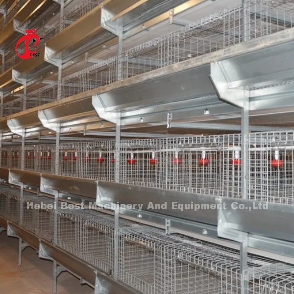 Système de cage automatique à batterie de poulet de type H de 450 cm2 avec alimentateur Adela