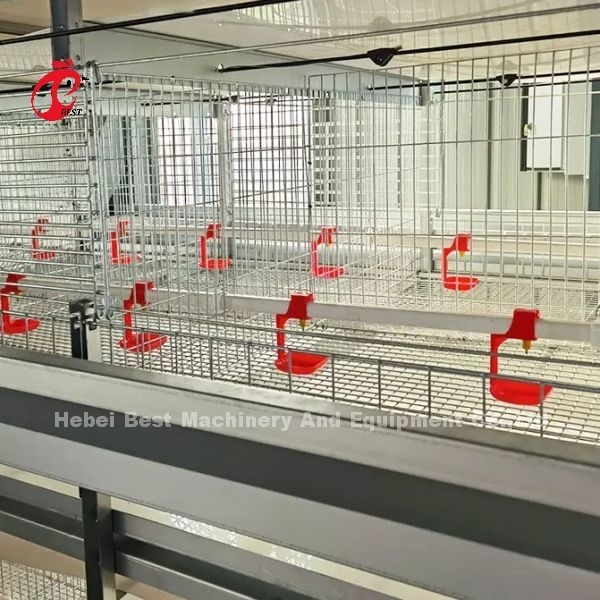 Cage de poulets de chair de poulet en acier plus solide de 1,5 m sur 2,2 m sur 1,75 m Adela