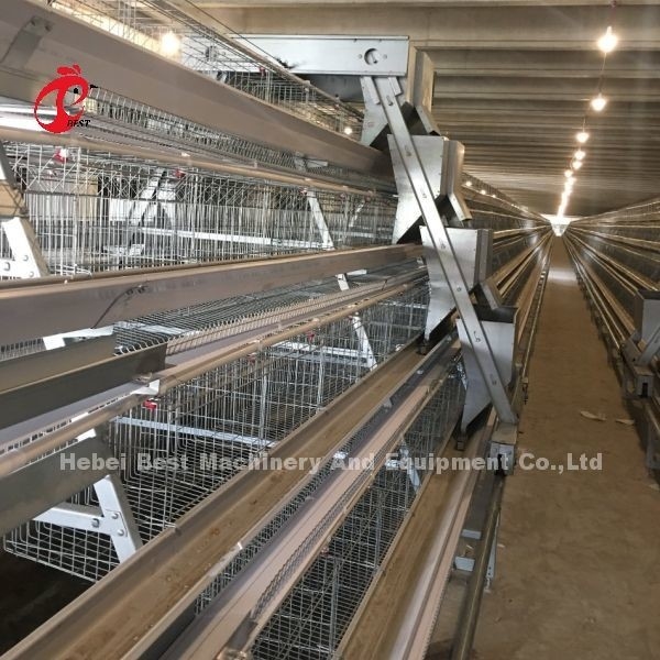 Système de cage à batterie de 3/4/5 niveaux pour l'iris de la ferme avicole à poulet à couche automatisée