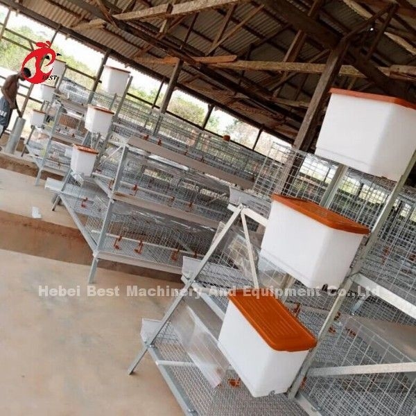 3 ou 4 niveaux de cage d'élevage de poussins H ceinture système de nettoyage manuel 2x2x1,6m Doris