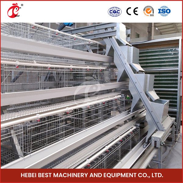 Système automatique de cage d'élevage de volailles avec alimentateur automatique Pour le Nigeria Zambie Ghana Sandy