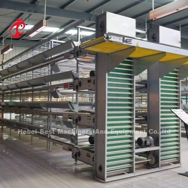 Système de cage modulaire pour volailles pour fermes à couches galvanisée à chaud capacité de cage à batterie 96-200 oiseaux sableux