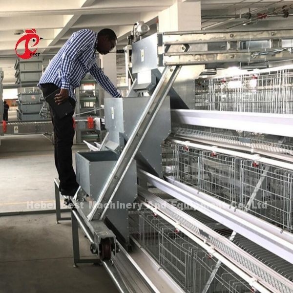 Cages à batterie de type H pour volaille électro-galvanisées durables importées