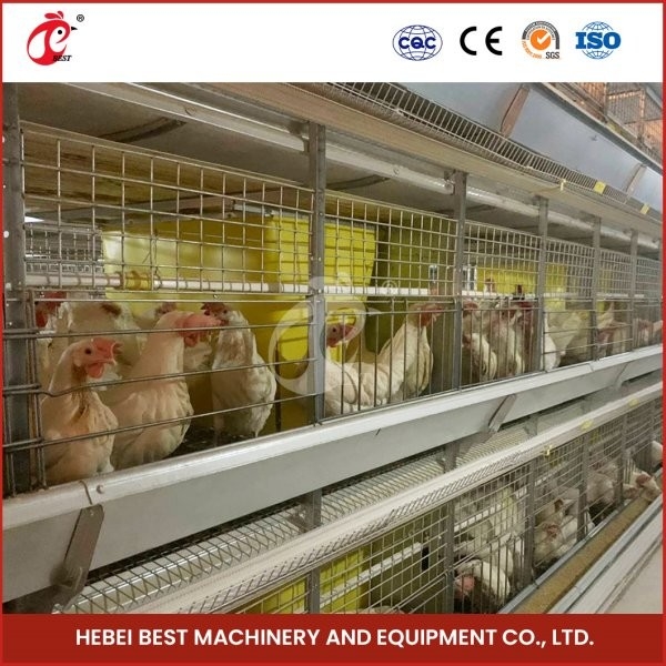 Cage de poulet de poulet de type H en forme de H avec porte coulissante 450cm2 Surface / installation vidéo d'oiseau inclus Ada