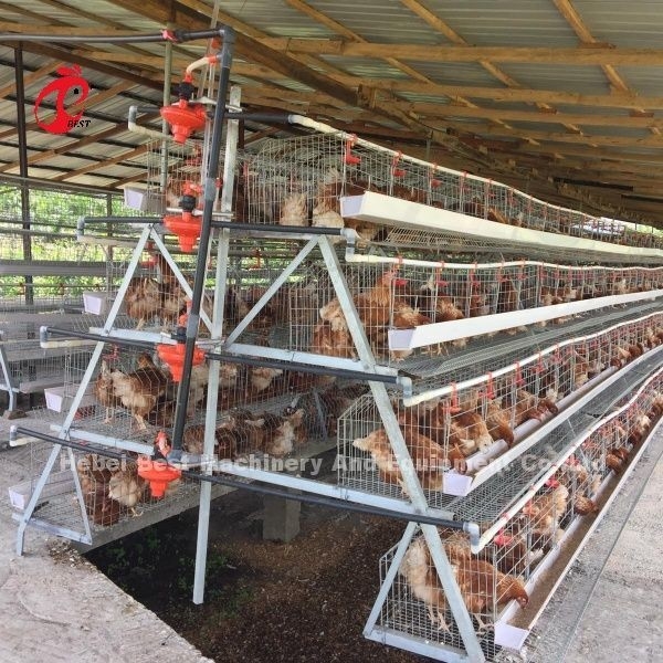 3 Tier 120 oiseaux et 4 Tier 160 oiseaux couche système de cage à batterie pour l'Ouganda Tanzanie élevage de volaille Sandy