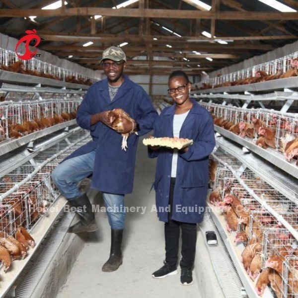 Système galvanisé plongé chaud de cage de batterie de couche pour la ferme avicole Q235 Emily en acier