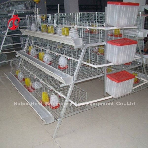 cage de poulet de poulette de 3 rangées pour 1 semaine petit Chick Brooder Cage Doris