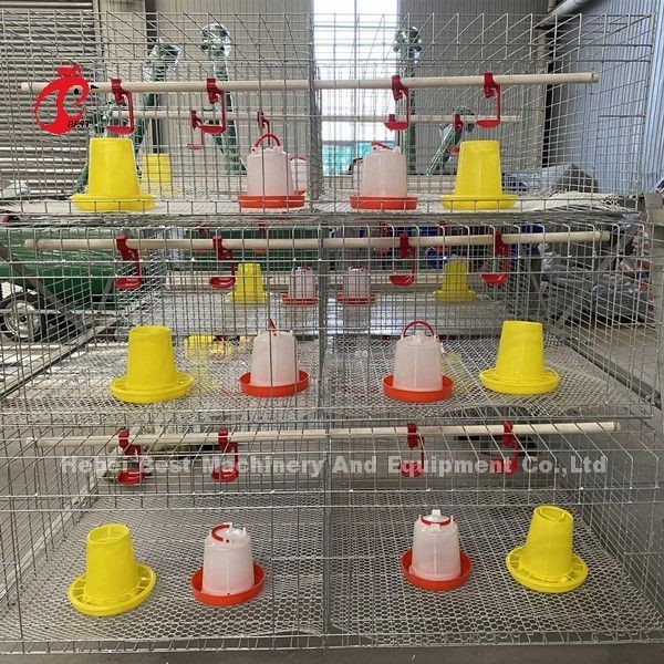 Rangées de la cage 3 de poulet à rôtir de ferme avicole, un type cage de batterie pour des poulets à rôtir Doris