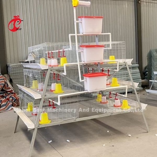 Un type de cage à batterie de poulet galvanisé à haute résistance