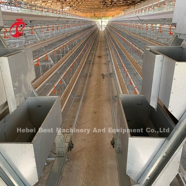 16 semaines poule pondeuse A ou H Cadre Automatisé Cage à couches 15000 Oiseaux Emily