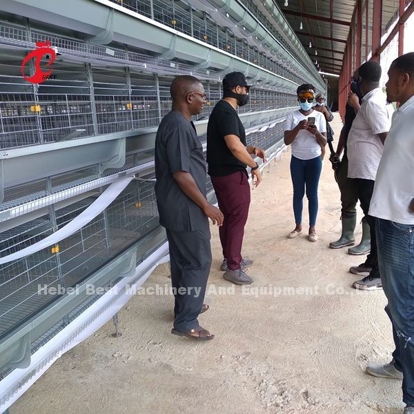 Un type de H système de pose automatique de cage d'aviculture de poulet dans l'iris du marché de l'Afrique