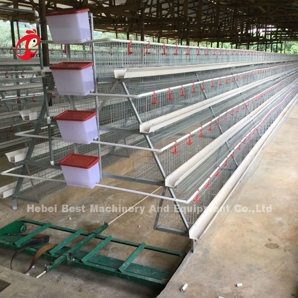 Type de la meilleure qualité de H prix de cage de batterie de couche dans l'iris stable du Nigéria
