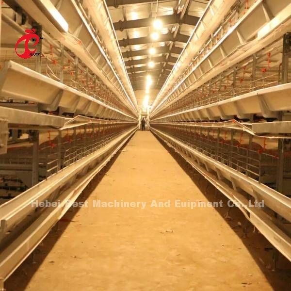 Le type complètement automatique poules de H de cages de batterie est vente chaude sur le marché Mia de l'Afrique