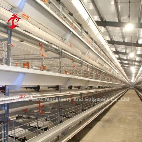 Prix complètement automatique de cage de batterie dans le type couche Mia du Nigéria H