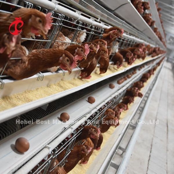 Couche galvanisée à chaud des bons prix cultivant le type vente Adela du système A de cage