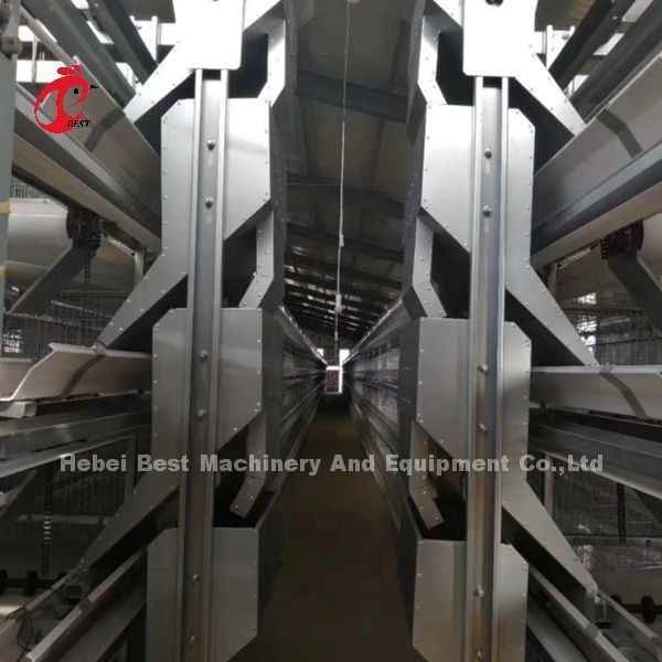 Élevage de volailles galvanisées Un système de cage automatique de type pour les couches au Nigeria populaire Rose