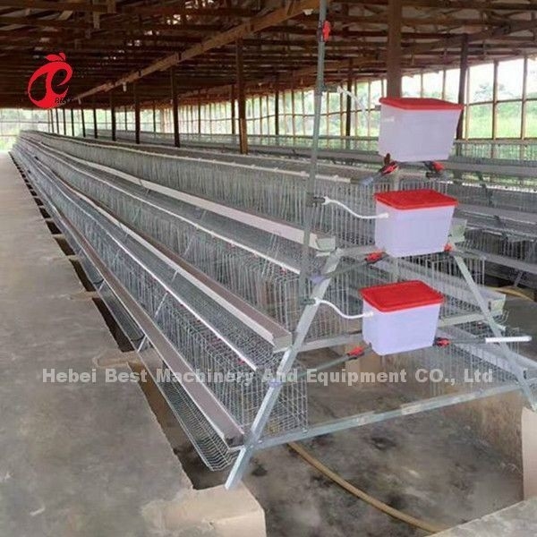 Système commercial 2.0m*2.0m*1.45m de cage de batterie de couche de poulet en étoile du Nigéria