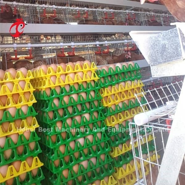 La couche de haute qualité populaire d'oeufs de cage de couche d'aviculture de système automatique de cage met en cage Rose