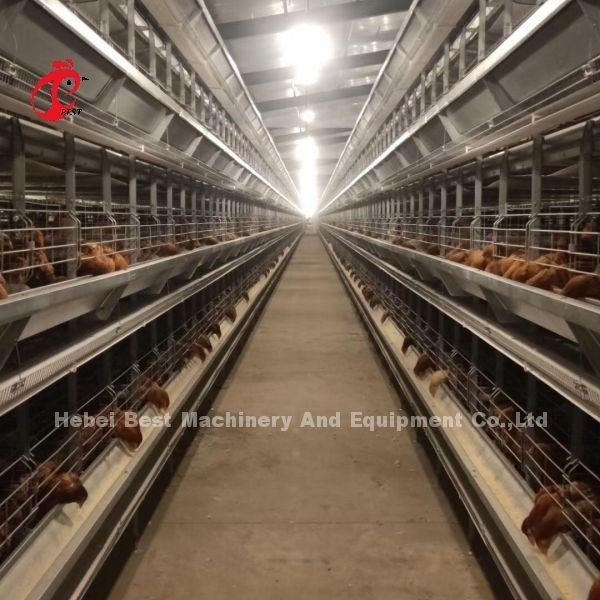 La plupart de type populaire de H système automatique de cage d'aviculture pour la grande ferme Adela
