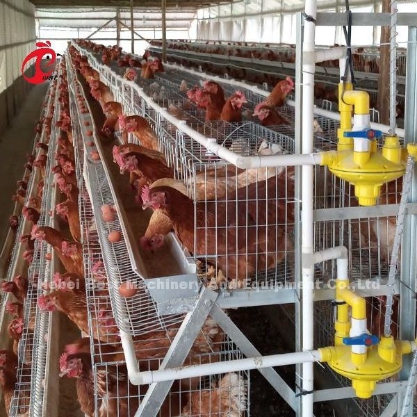 Prix de cage de batterie de 4 poules de rangées au Nigéria, cage Rose de couche de poulet de 5 portes