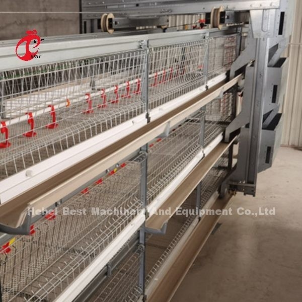 Fil en métal de 4 haut de dureté de rangées de couche de poulet cages de batterie avec le réservoir d'eau Rose