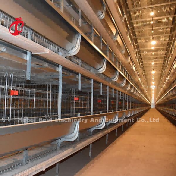 Ferme avicole chaude de cage de grilleur de cage de couvée de cage de batterie de poulet de vente en Afrique Mia